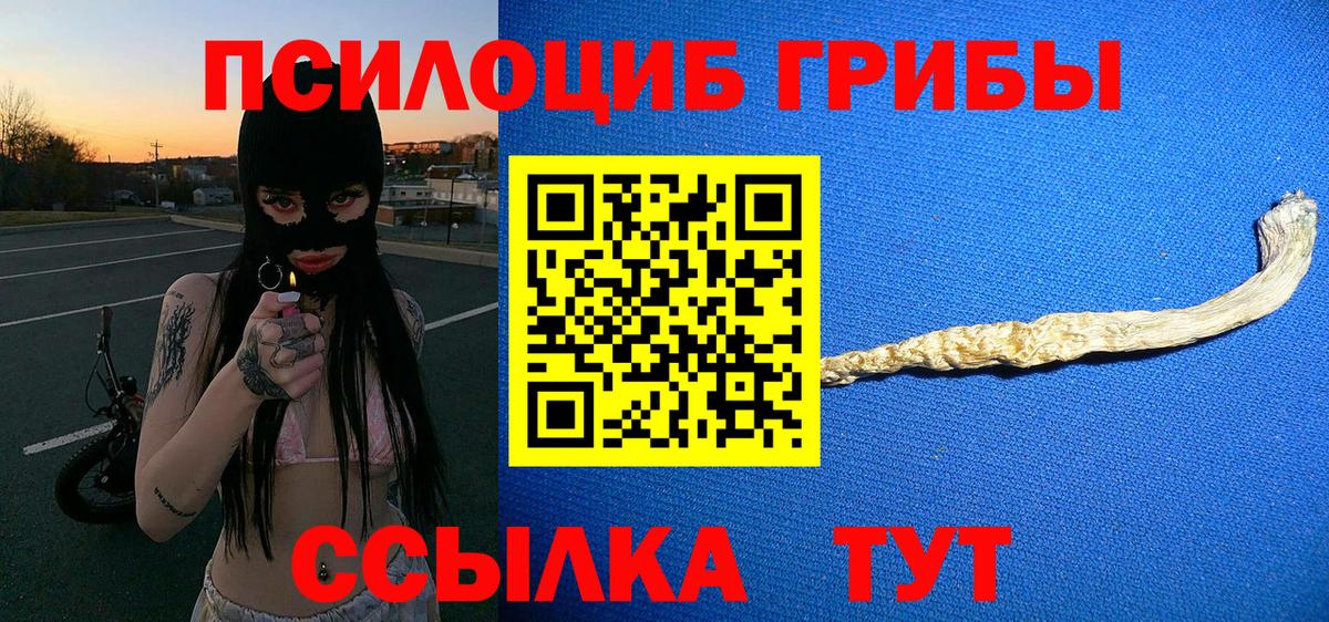 Псилоцибиновые грибы MAGIC MUSHROOMS  Вход с VPN  Черногорск 