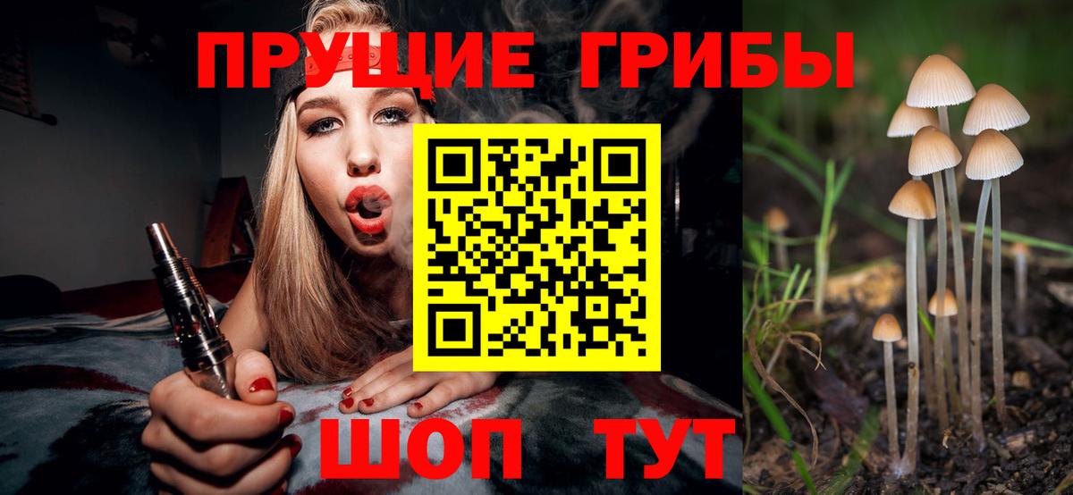 Галлюциногенные грибы MAGIC MUSHROOMS Черногорск