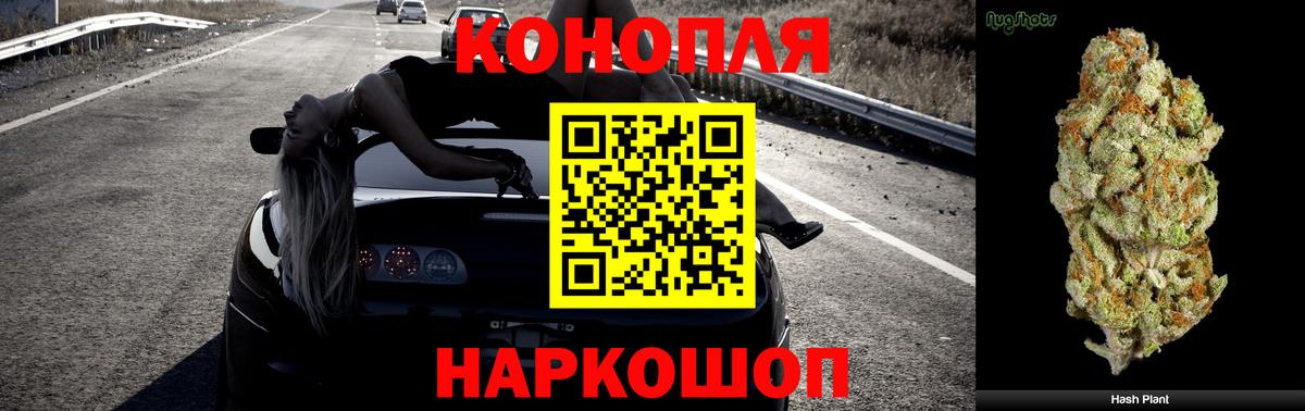 Бошки марихуана план  Шишки марихуана конопля  Черногорск  Вход с VPN  Бошки марихуана LSD WEED 